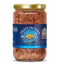 Fileti slanih inćuna